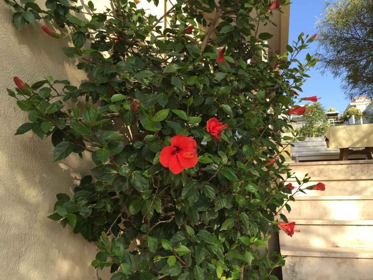 Cicek Apart Hotel Cesme Exterior photo
